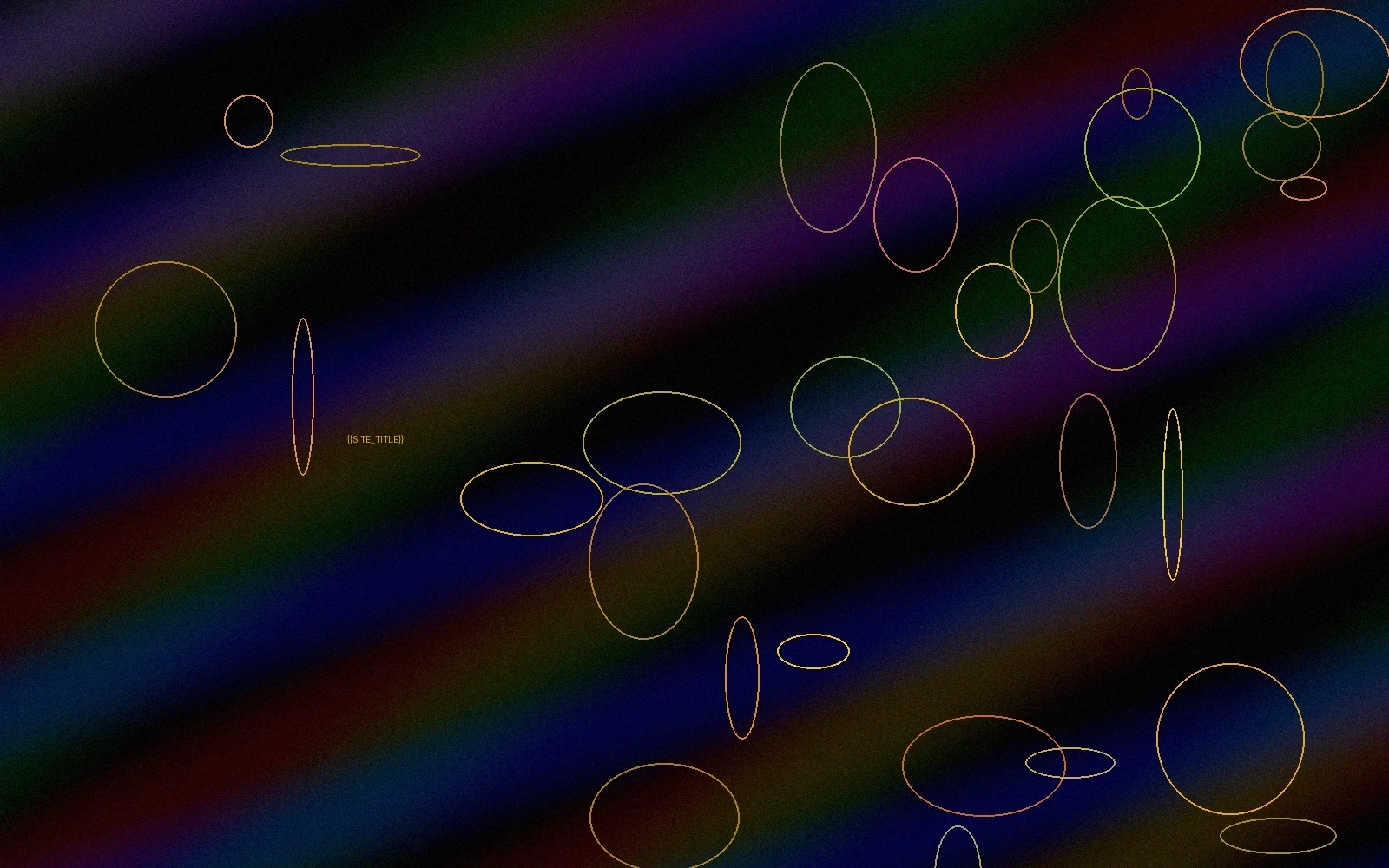 与欧洲导演合作的艺术电影